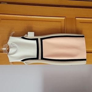Calvin Klein Colorblock Dress Size 4